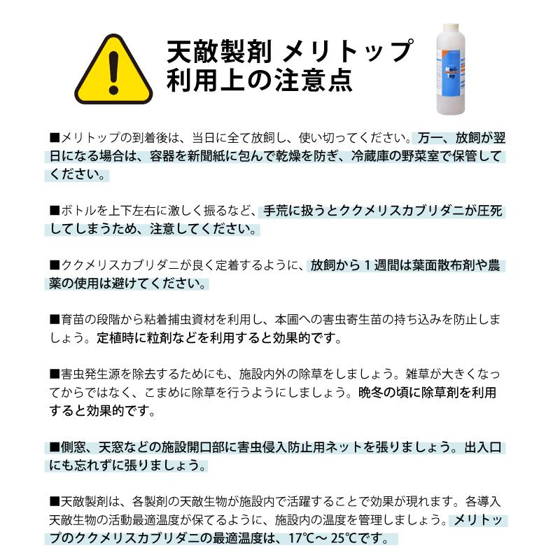 2個 天敵製剤 メリトップ 50000頭 900ml ククメリスカブリダニ アザミウマ駆除 ハウス ビニールハウス 施設栽培 農業 農作物 アグリセクト タS 代引不可の画像