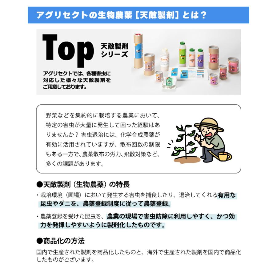 2個 天敵製剤 メリトップ 50000頭 900ml ククメリスカブリダニ アザミウマ駆除 ハウス ビニールハウス 施設栽培 農業 農作物 アグリセクト タS 代引不可の画像