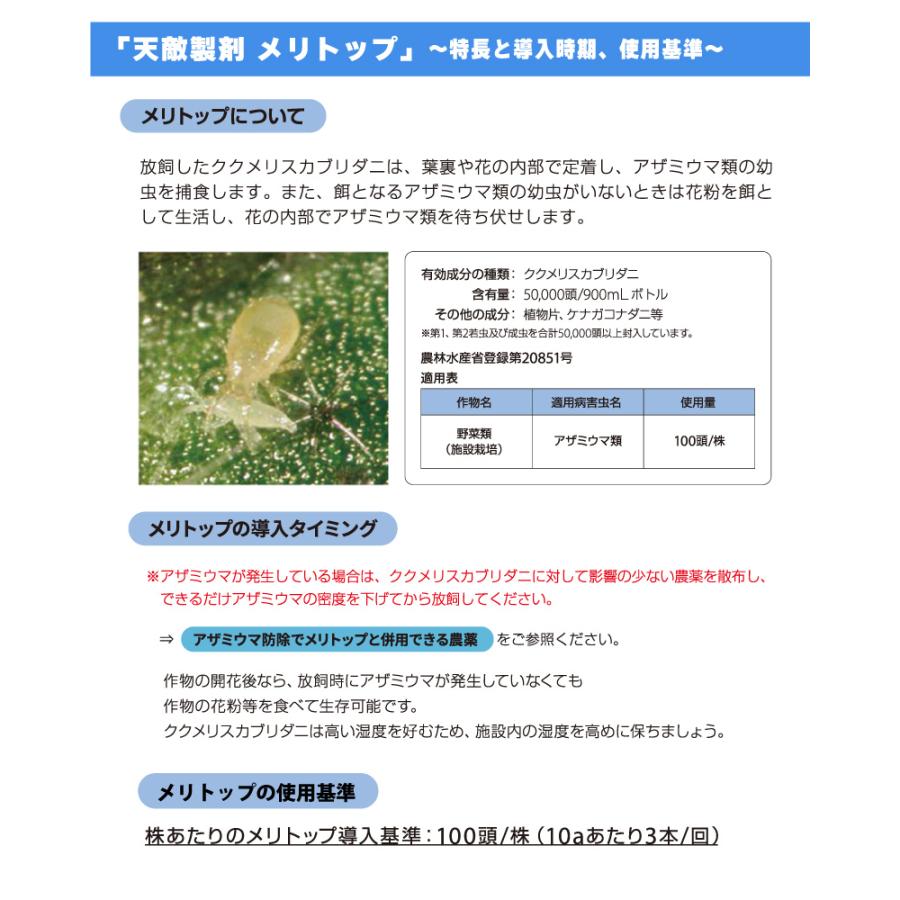 2個 天敵製剤 メリトップ 50000頭 900ml ククメリスカブリダニ アザミウマ駆除 ハウス ビニールハウス 施設栽培 農業 農作物 アグリセクト タS 代引不可の画像