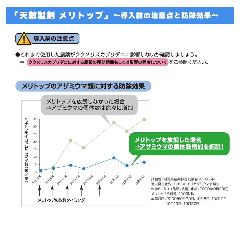 2個 天敵製剤 メリトップ 50000頭 900ml ククメリスカブリダニ アザミウマ駆除 ハウス ビニールハウス 施設栽培 農業 農作物 アグリセクト タS 代引不可の画像