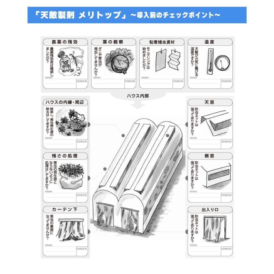2個 天敵製剤 メリトップ 50000頭 900ml ククメリスカブリダニ アザミウマ駆除 ハウス ビニールハウス 施設栽培 農業 農作物 アグリセクト タS 代引不可の画像
