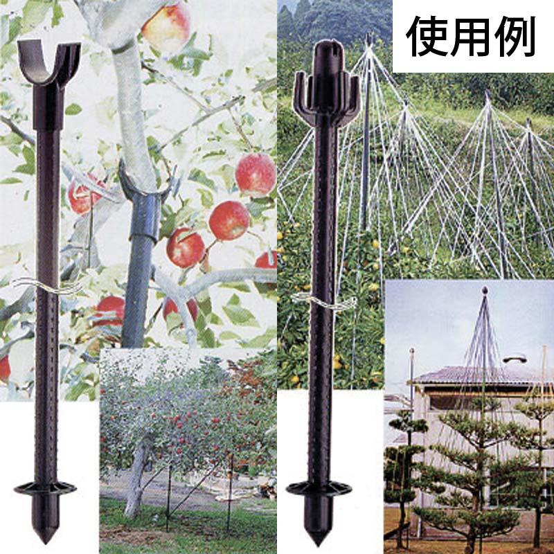 50本 イボ竹 33mm×4m 黒 果樹支柱 セキスイ タS 個人宅配送不可 代引