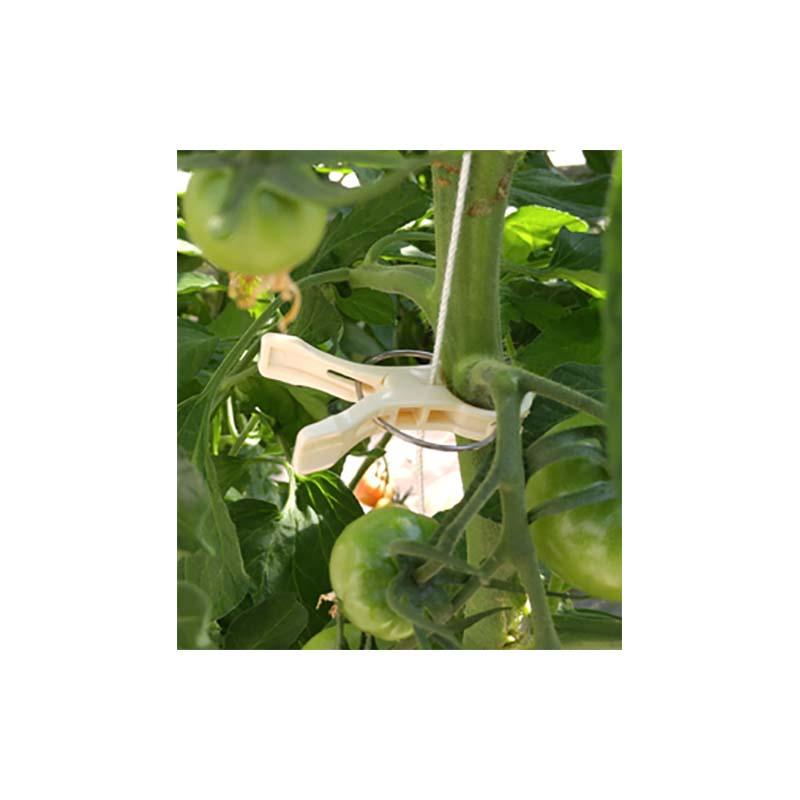 600個 つりっ子l24 ハード 太 ナスニックス 茎と誘引紐を固定 栽培 誘引具 サt 代引不可 プラスワイズ業務店 通販 Yahoo ショッピング