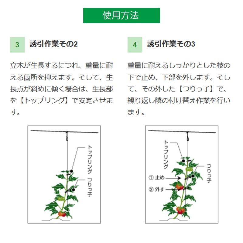 600個 つりっ子jr ナスニックス 茎と誘引紐を固定 栽培 誘引具 サt 代引不可dw プラスワイズ業務店 通販 Yahoo ショッピング