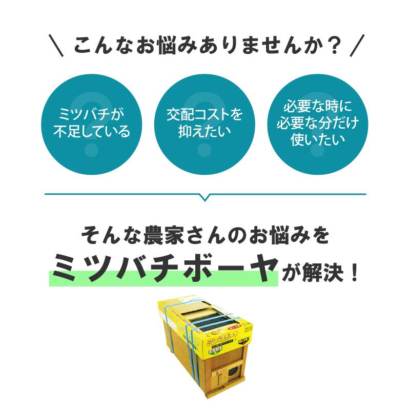 確認用 ミツバチ様 楽天市場】交配 用 ミツバチの通販