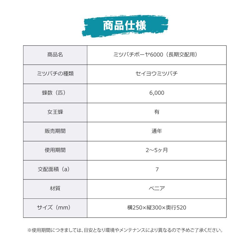ミツバチ 受粉用 ミツバチボーヤ6000 長期 交配用 女王蜂付 蜜蜂 6000 