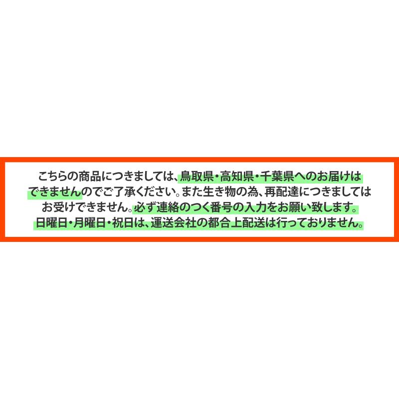 ミチ様のみ購入有効。ご縁に感謝特別値下げ対応ページ。送料無料。 a07168.jpg