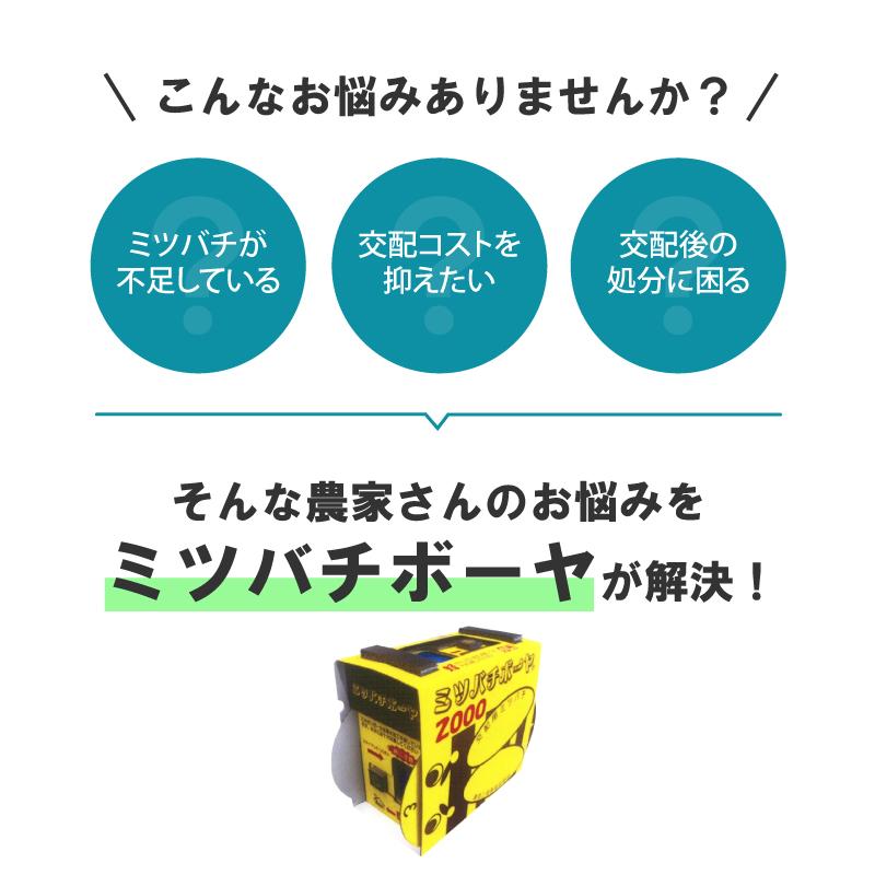 ミツバチ 受粉用 ミツバチボーヤ2000 短期 交配用 女王蜂なし 蜜蜂