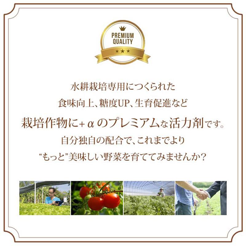 20本入 水耕栽培用 活性剤 もっとウマく育てたい時のサプリ 1ケース 500mL×20本 おうちのやさいシリーズ グリーングリーン 個人宅配送不可 代引不可 |  | 10