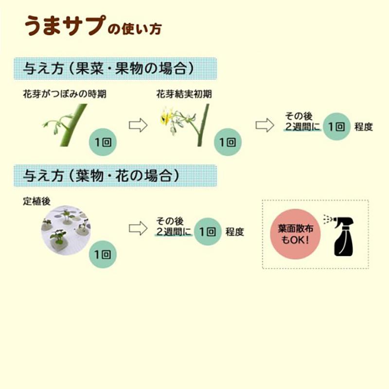 20本入 水耕栽培用 活性剤 もっとウマく育てたい時のサプリ 1ケース 500mL×20本 おうちのやさいシリーズ グリーングリーン 個人宅配送不可 代引不可 |  | 12