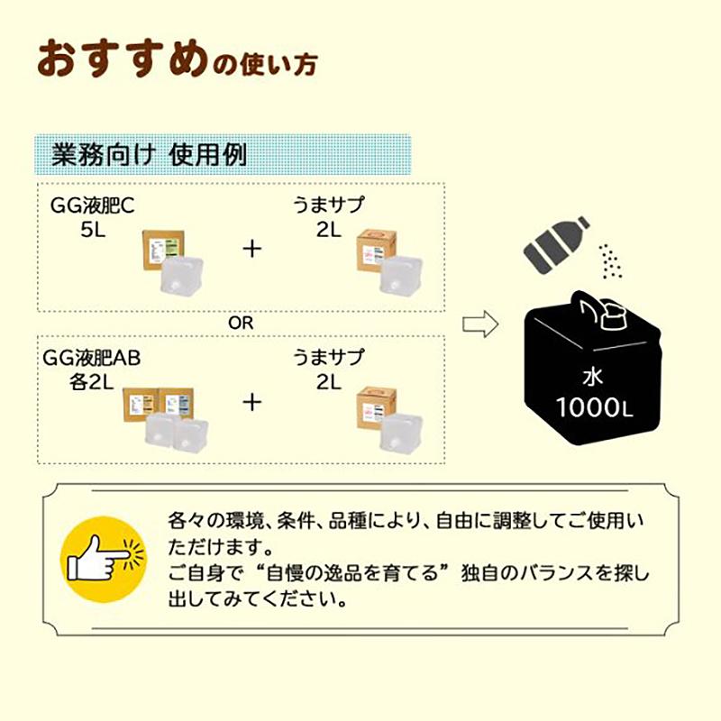 20本入 水耕栽培用 活性剤 もっとウマく育てたい時のサプリ 1ケース 500mL×20本 おうちのやさいシリーズ グリーングリーン 個人宅配送不可 代引不可 |  | 14