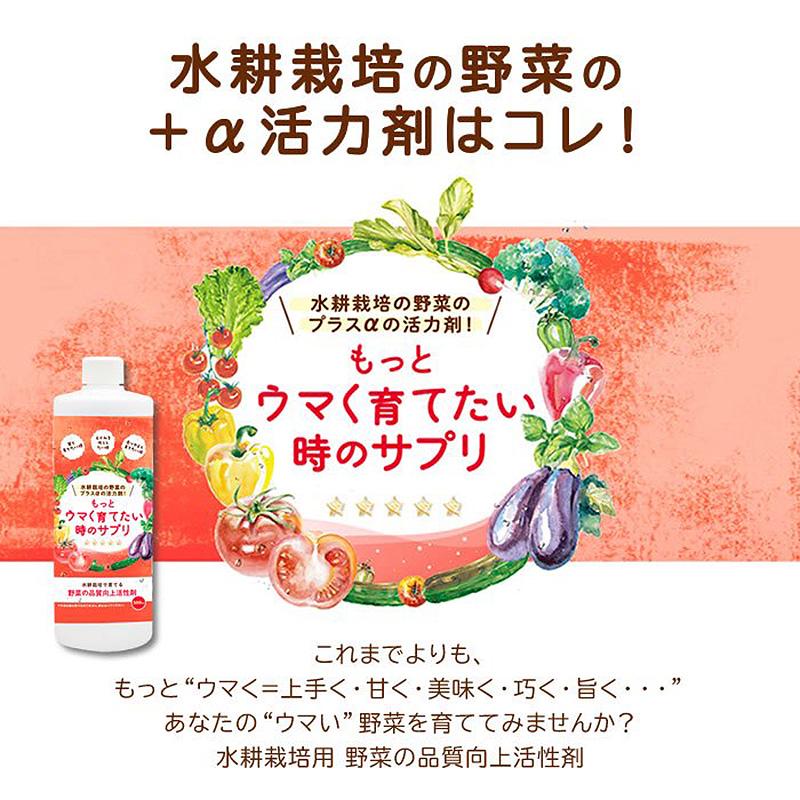 20本入 水耕栽培用 活性剤 もっとウマく育てたい時のサプリ 1ケース 500mL×20本 おうちのやさいシリーズ グリーングリーン 個人宅配送不可 代引不可 |  | 02