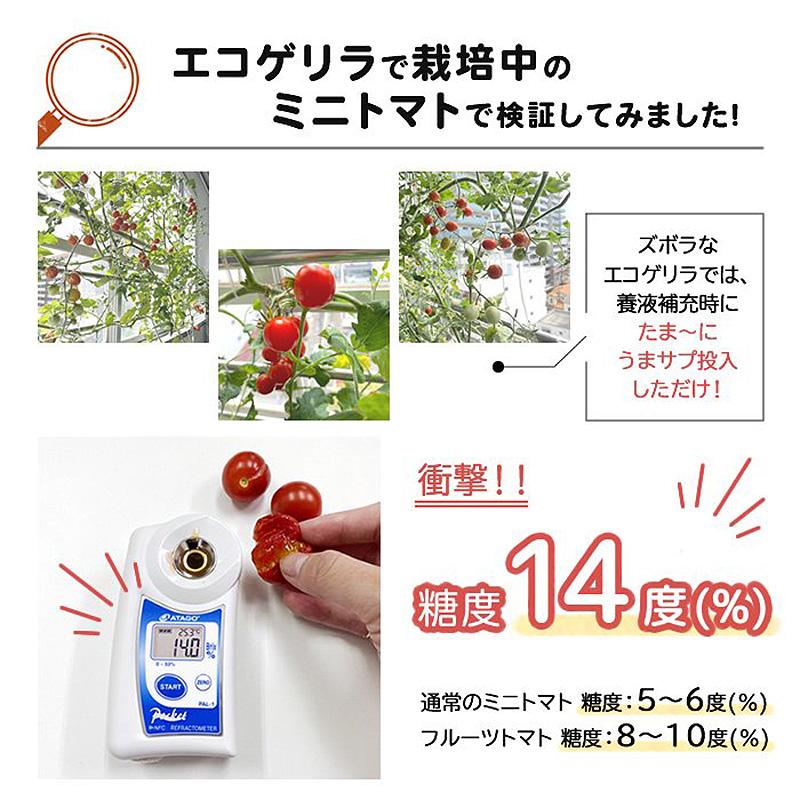 20本入 水耕栽培用 活性剤 もっとウマく育てたい時のサプリ 1ケース 500mL×20本 おうちのやさいシリーズ グリーングリーン 個人宅配送不可 代引不可 |  | 03