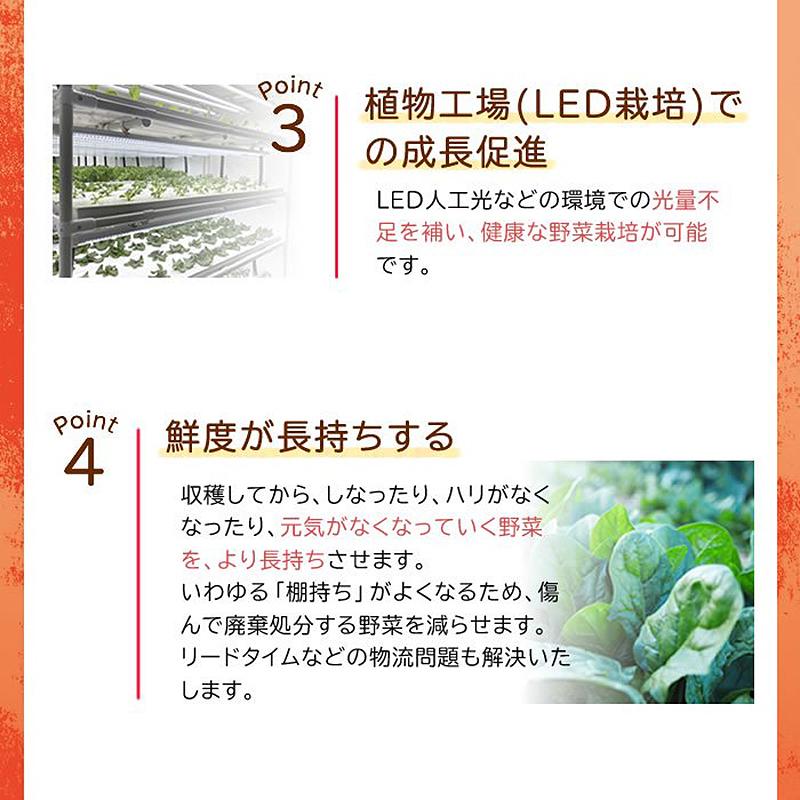 20本入 水耕栽培用 活性剤 もっとウマく育てたい時のサプリ 1ケース 500mL×20本 おうちのやさいシリーズ グリーングリーン 個人宅配送不可 代引不可 |  | 05