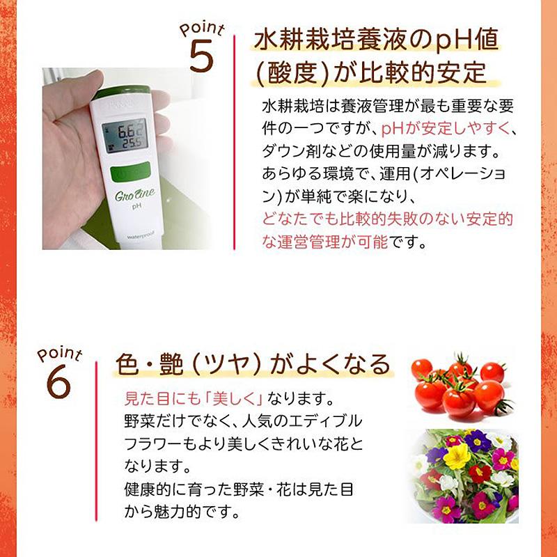 20本入 水耕栽培用 活性剤 もっとウマく育てたい時のサプリ 1ケース 500mL×20本 おうちのやさいシリーズ グリーングリーン 個人宅配送不可 代引不可 |  | 06