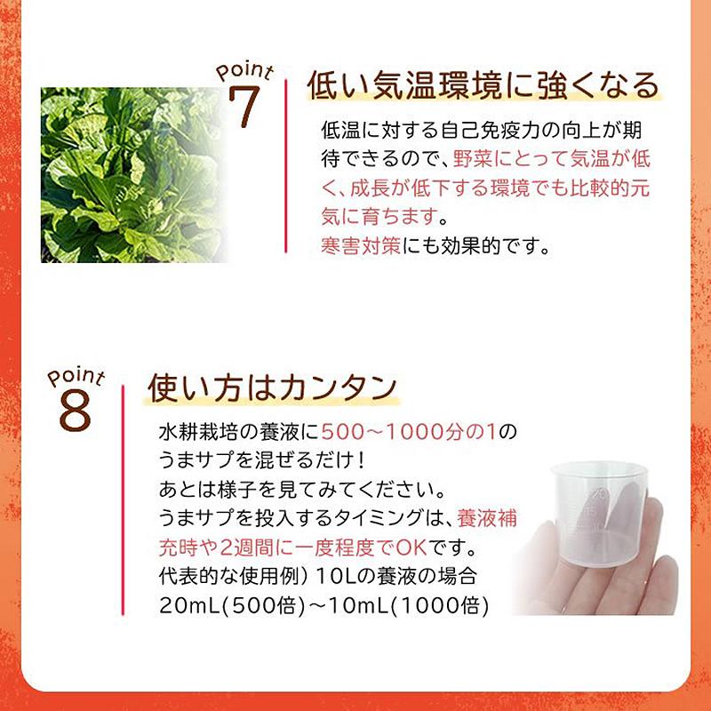 20本入 水耕栽培用 活性剤 もっとウマく育てたい時のサプリ 1ケース 500mL×20本 おうちのやさいシリーズ グリーングリーン 個人宅配送不可 代引不可 |  | 07