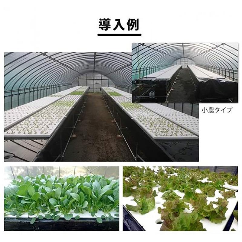 組み立てるだけ／ 水耕栽培装置 アマテラス 組み立て式 システム1台 水