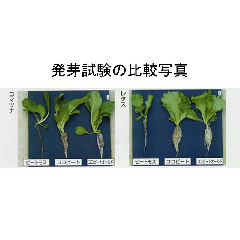 ココピートオールド 4cb 復元時180L 東都興業 土壌改良剤 天然ココナツ