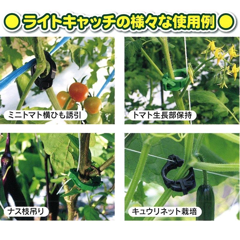 ライトキャッチ 緑 Lc G400 400個 10袋 シーム 茎と誘引紐を固定 ひも誘引用クリップ トマト ナス 果菜類 誘引具 簡単 軽量 タ種 送料無料 代引不可 プラスワイズ業務店 通販 Yahoo ショッピング