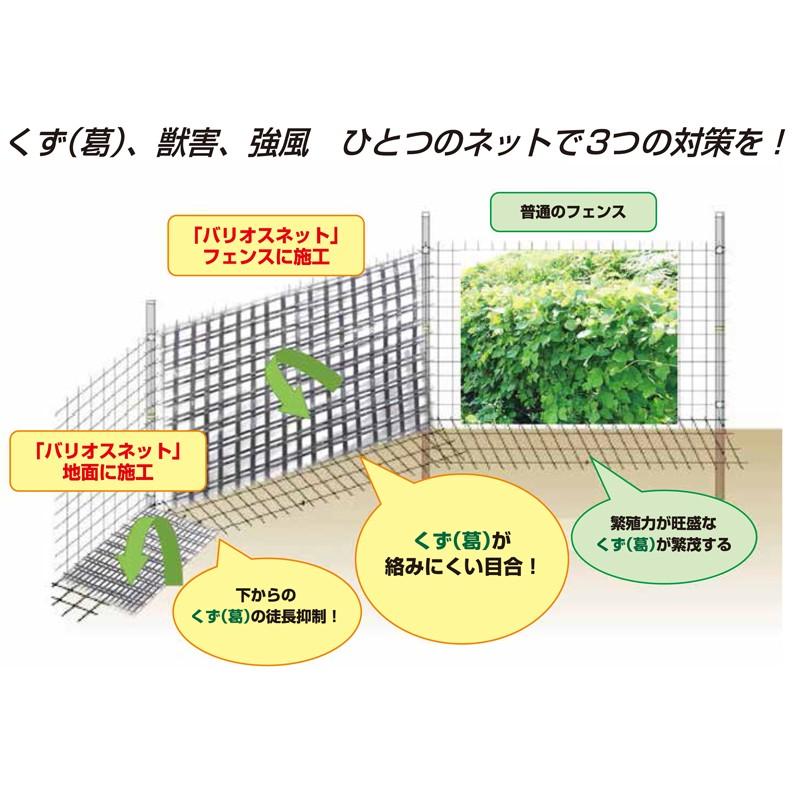 バリオスネット 185cm 50m フェンス 葛 クズ 獣害 害獣 強風 防風 対策 K麻 小泉製麻 代引不可 プラスワイズ業務店 通販 Yahoo ショッピング