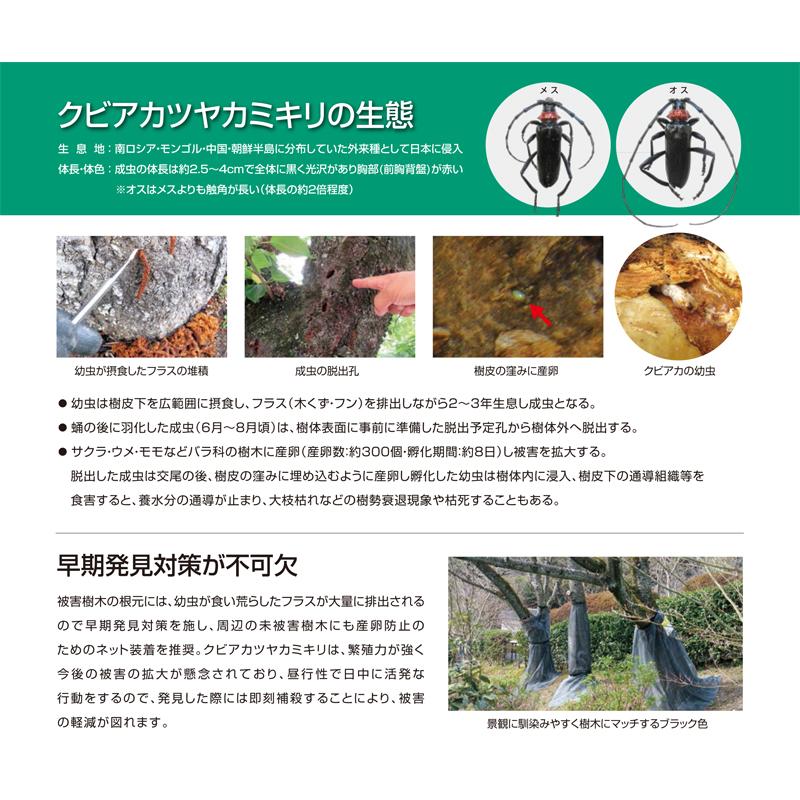 クビアカガードネット Bkl4232 0 9m 50m 防虫ネット 日本ワイドクロス 桃 梅 樹木 カミキリ 虫 対策 園芸 農園 防止 産卵 侵入 タ種 個人宅配送不可 代引不可 プラスワイズ業務店 通販 Yahoo ショッピング