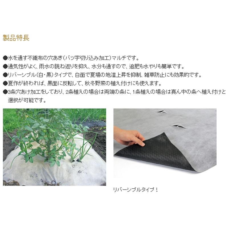 10本 タキイ不織布マルチ 夏やさい名人 白黒 1m×9m 条間20cm 株間40cm