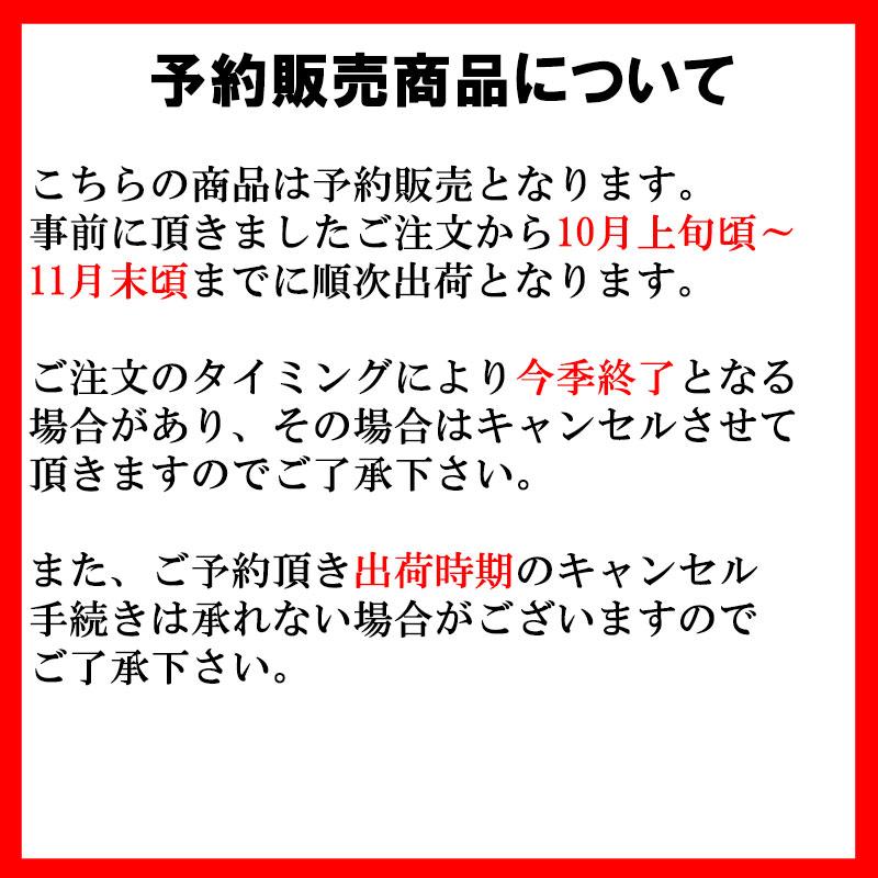 予約販売 アネモネ 中球 セントブリジット 八重咲 白 5球 L タキイ種苗 球根 ホワイト 花 園芸 ガーデニング 代引不可 プラスワイズ業務店 通販 Yahoo ショッピング