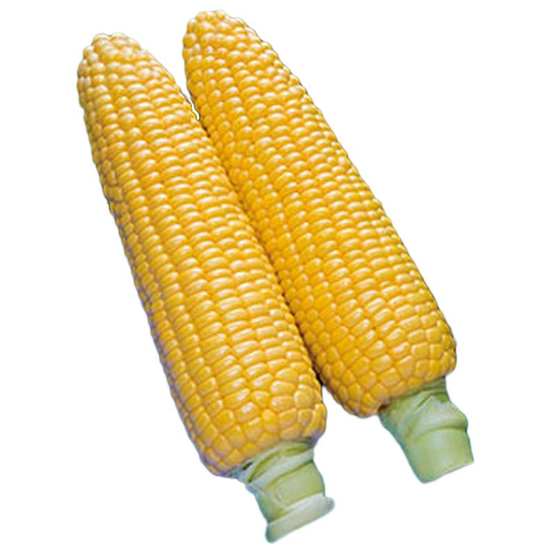 種 コーン ほしつぶコーン 48粒 3袋 タキイ種苗 春まき 種まき 播き 種子 野菜 畑 栽培 家庭菜園 品種 米s D メール便 新品登場