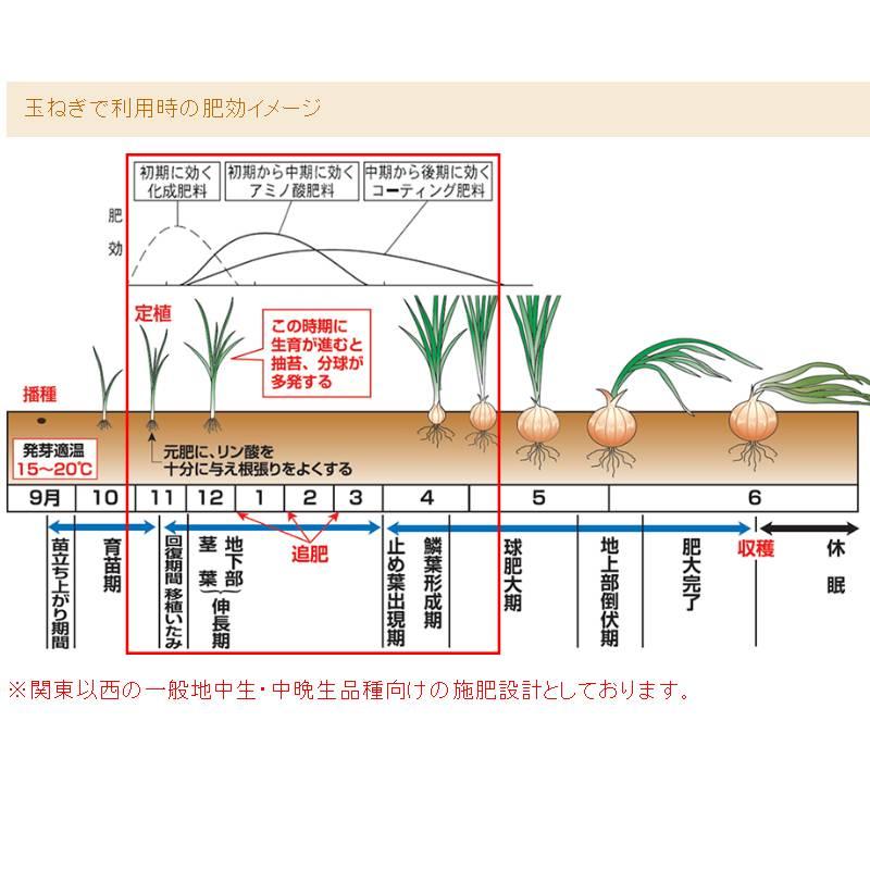 40袋 玉ねぎの一発肥料 1kg タキイ種苗 ニンニク 深ネギにも グルタミン酸 有機 腐植酸 ロング肥料 土壌 改良 発根促進 コーティング 個人宅配送不可 代引不可