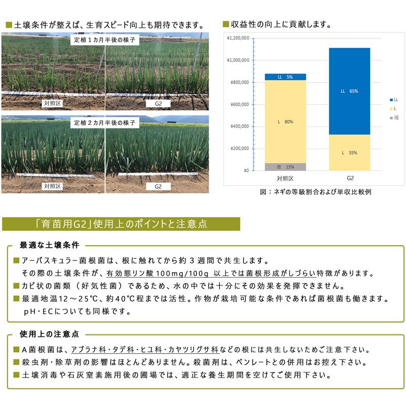 4袋 微生物土壌改良材 育苗用G2 5kg 松本微生物研究所 VA菌根菌 肥料