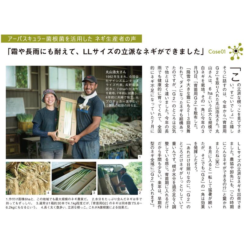 4袋 微生物土壌改良材 育苗用G2 5kg 松本微生物研究所 VA菌根菌 肥料