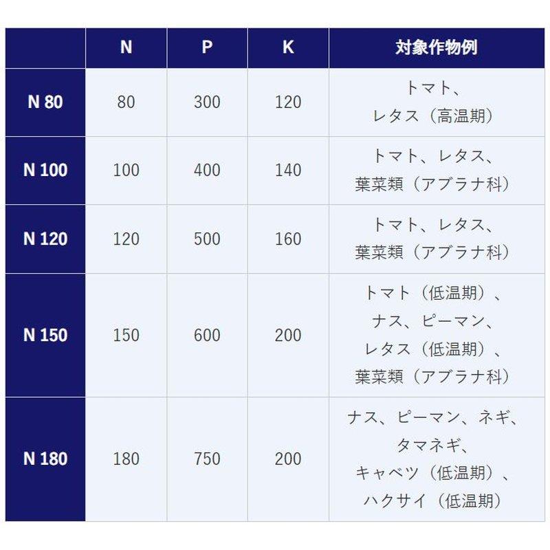 たきとん様【専用】 宮本刻印入バチ 樫 40.8cm×22.5mm | 宮本卯之助商店
