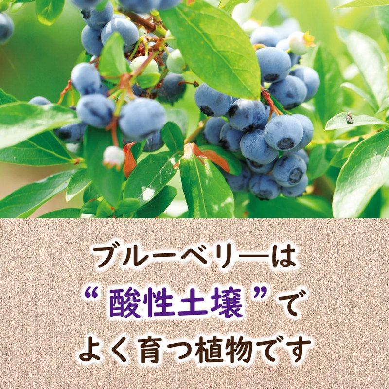 40袋 ブルーベリーの肥料 500g 東商 マグネシウム配合 酸性 有機ブレンド 土壌微生物 活性化 土 土壌 改良 実付き タS 個人宅配送不可 代引不可_2