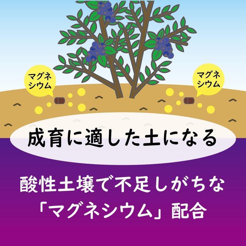 40袋 ブルーベリーの肥料 500g 東商 マグネシウム配合 酸性 有機ブレンド 土壌微生物 活性化 土 土壌 改良 実付き タS 個人宅配送不可 代引不可_3