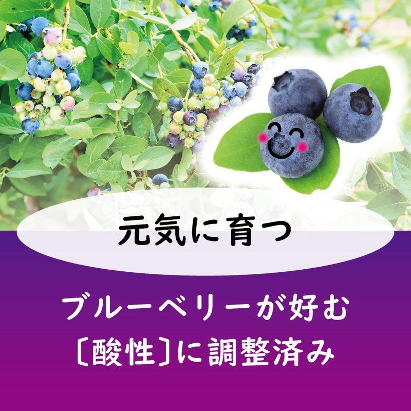 40袋 ブルーベリーの肥料 500g 東商 マグネシウム配合 酸性 有機ブレンド 土壌微生物 活性化 土 土壌 改良 実付き タS 個人宅配送不可 代引不可_4