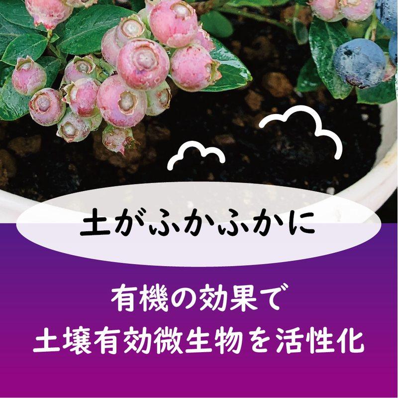 40袋 ブルーベリーの肥料 500g 東商 マグネシウム配合 酸性 有機ブレンド 土壌微生物 活性化 土 土壌 改良 実付き タS 個人宅配送不可 代引不可_6