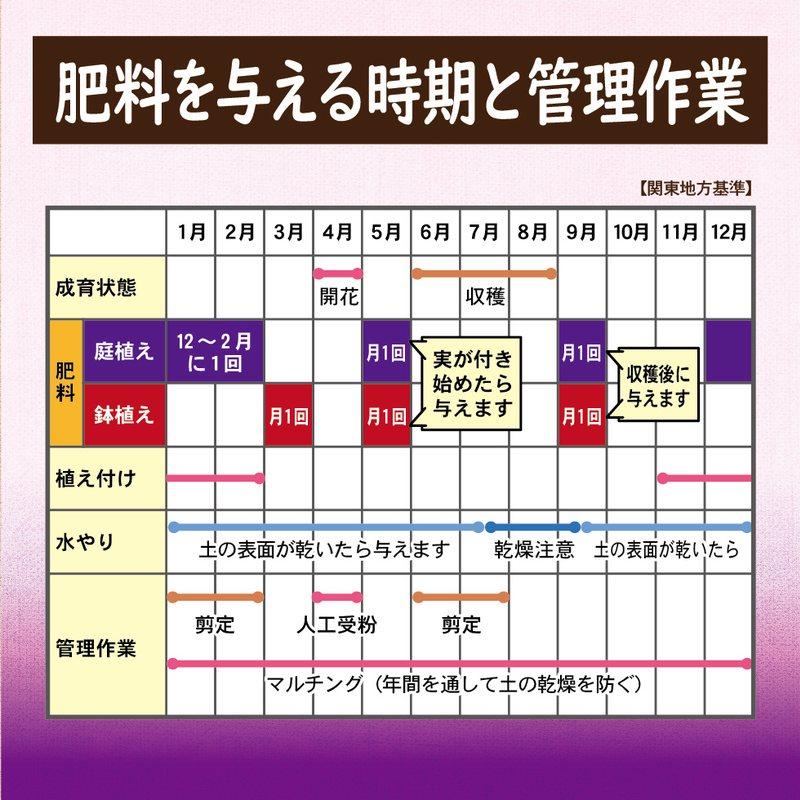40袋 ブルーベリーの肥料 500g 東商 マグネシウム配合 酸性 有機ブレンド 土壌微生物 活性化 土 土壌 改良 実付き タS 個人宅配送不可 代引不可_7