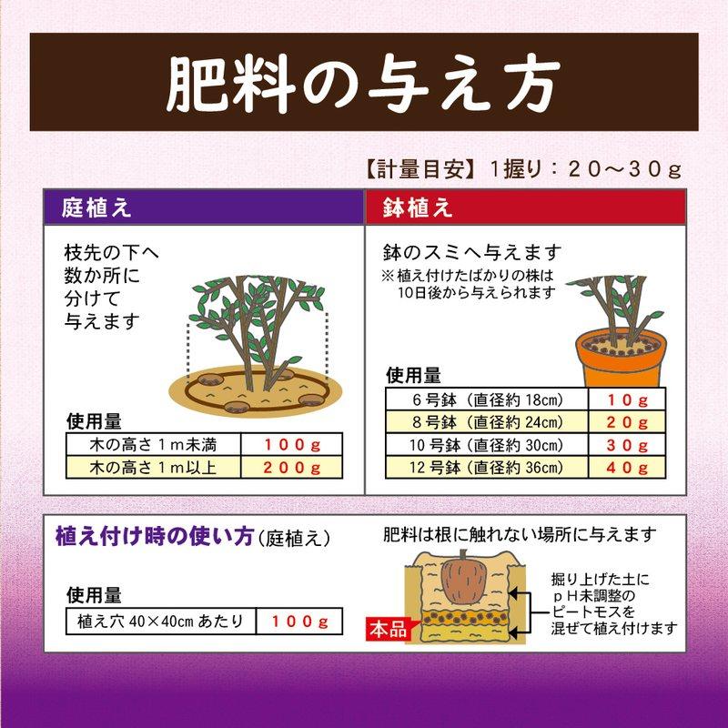 40袋 ブルーベリーの肥料 500g 東商 マグネシウム配合 酸性 有機ブレンド 土壌微生物 活性化 土 土壌 改良 実付き タS 個人宅配送不可 代引不可_8