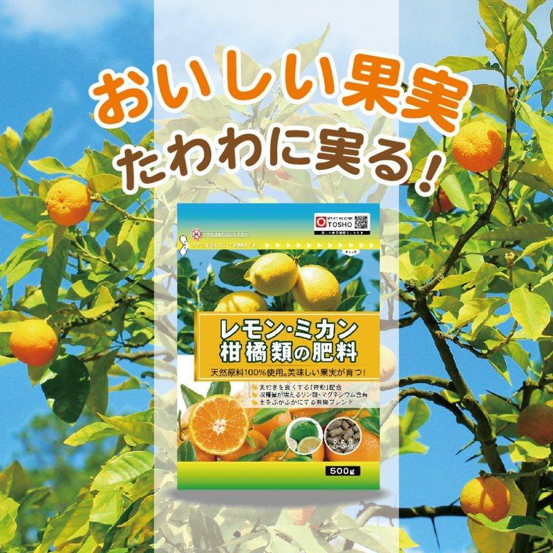 40袋 レモン・ミカン・柑橘類の肥料 500g 東商 果実 天然原料 安心 育成 骨粉配合 実付き 有機ブレンド 土 土壌 改良 ライム ユズ タS 個人宅配送不可 代引不可_1