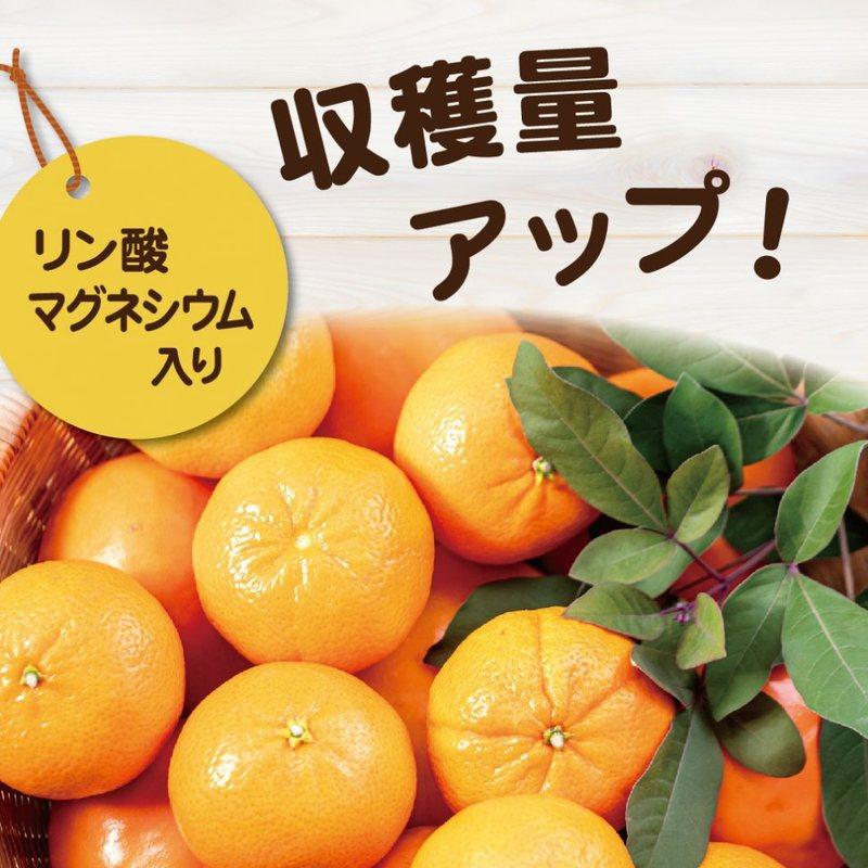 40袋 レモン・ミカン・柑橘類の肥料 500g 東商 果実 天然原料 安心 育成 骨粉配合 実付き 有機ブレンド 土 土壌 改良 ライム ユズ タS 個人宅配送不可 代引不可_3
