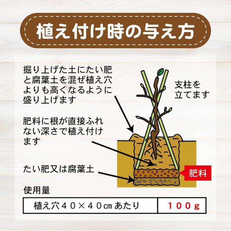 40袋 レモン・ミカン・柑橘類の肥料 500g 東商 果実 天然原料 安心 育成 骨粉配合 実付き 有機ブレンド 土 土壌 改良 ライム ユズ タS 個人宅配送不可 代引不可_8