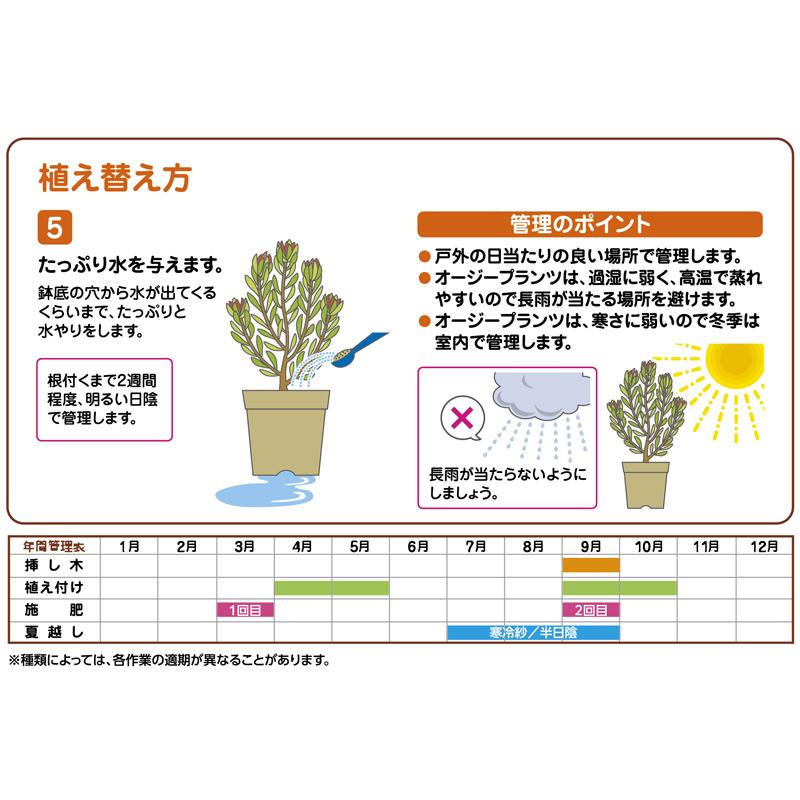 4袋 培養土 オージープランツの土 12L 花ごころ 赤玉土 配合 園芸 菜園