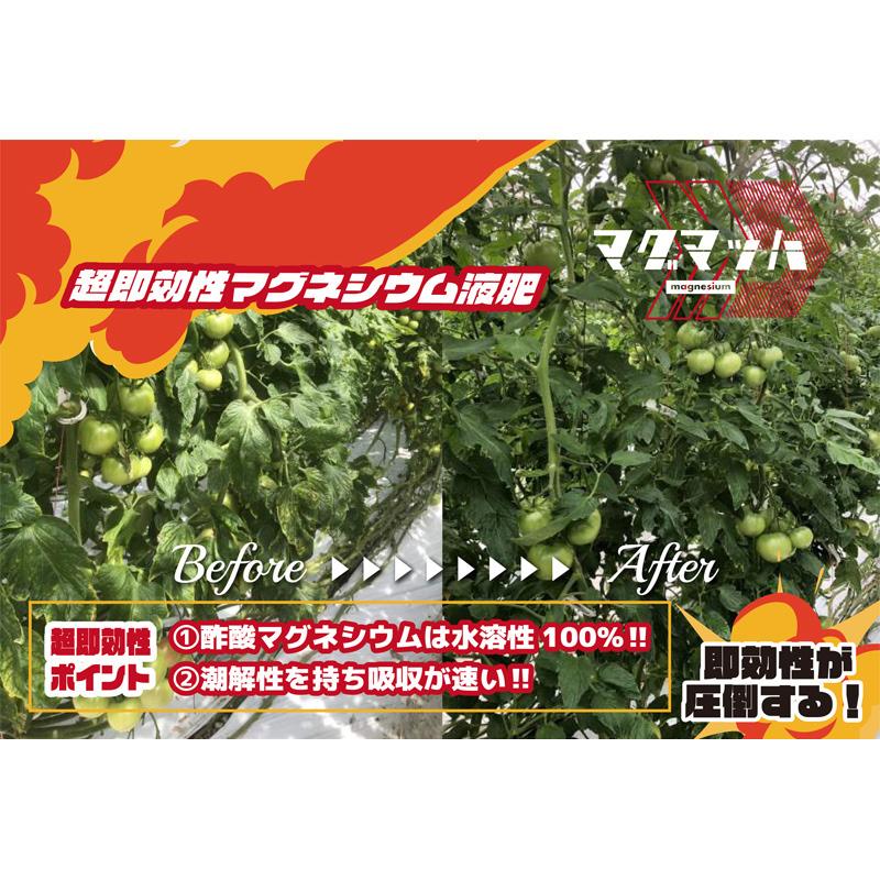 20本 マグネシウム液肥 マグマッハ 500g 大興貿易 酢酸 カルシウム カリ リン酸 超即効性 マッハ スピード決着 促進 整備 改善 予防 個人宅配送不可 代引不可_3