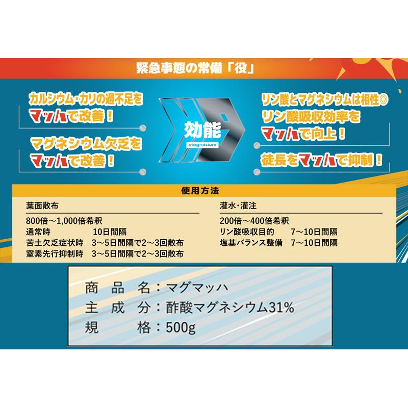 20本 マグネシウム液肥 マグマッハ 500g 大興貿易 酢酸 カルシウム カリ リン酸 超即効性 マッハ スピード決着 促進 整備 改善 予防 個人宅配送不可 代引不可_4