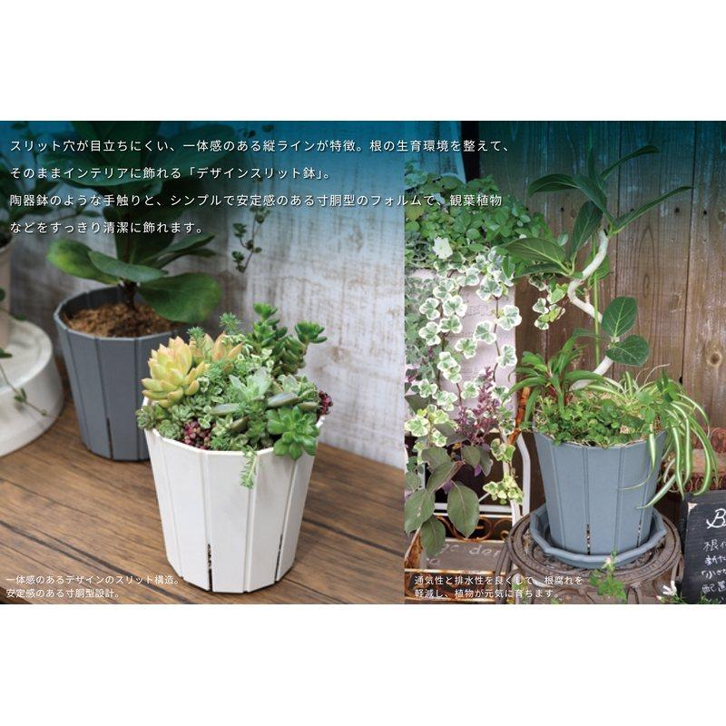96個 鉢植え スリットオアシス 7号 アップルウェアー 直径210×H213mm