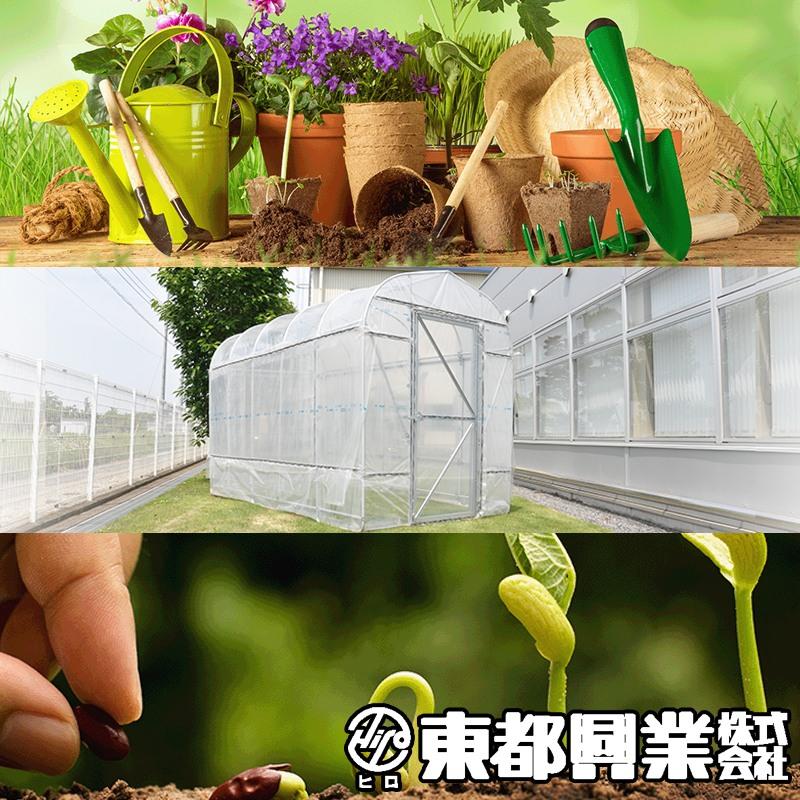 【24時間以内発送】ヨビニオンマルル　4枚セット ヨビニオンマルル4枚セット ヨビニオン・マルル 4枚