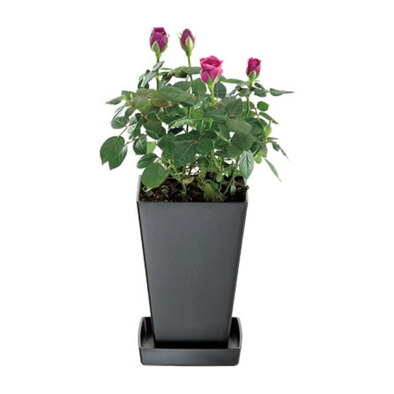 60個 クエンチハイポット 5号 ホワイト ポット 鉢 おしゃれ ガーデニング インドア ヤマト タS 個人宅配送不可 代引不可 大和人気売れ筋ランキング