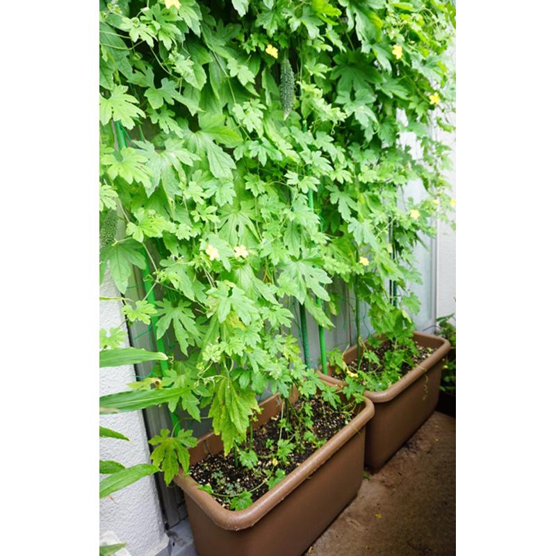 10個 eco菜園プランター 深55型 ダークグリーン ポット 鉢 野菜用 再生
