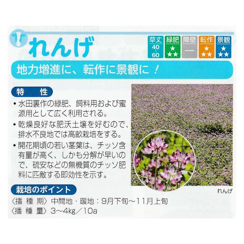 種 1kg れんげ 緑肥作物・畜産用資材 その他 景観用 蓮華 レンゲ