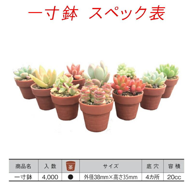 4000個 一寸鉢 茶 ポット 鉢 コンパクト おしゃれ 多肉植物 日本ポリ鉢販売 タS 個人宅配送不可 代引不可の画像